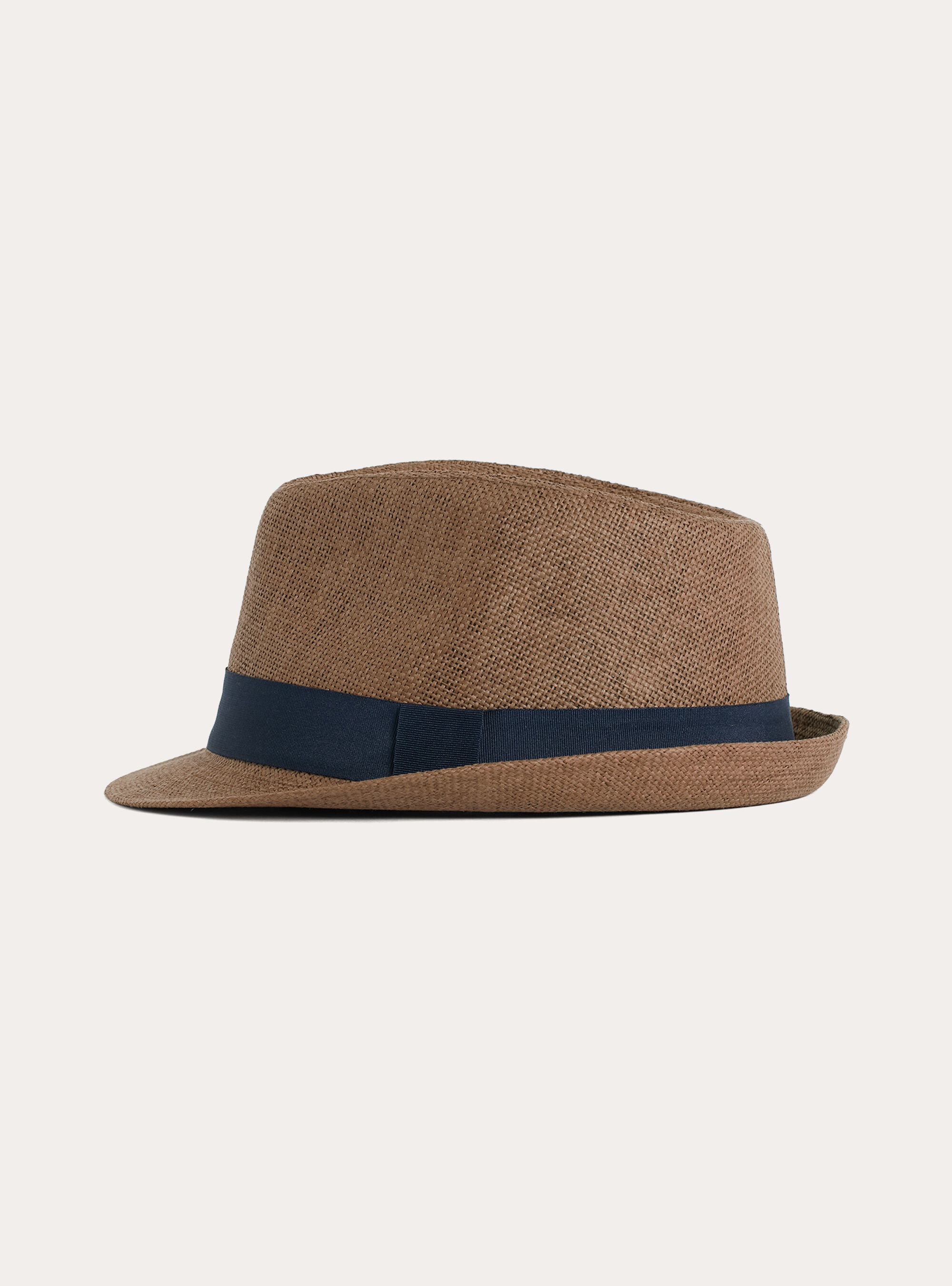 Raffia Panama Hat with Contrast Band