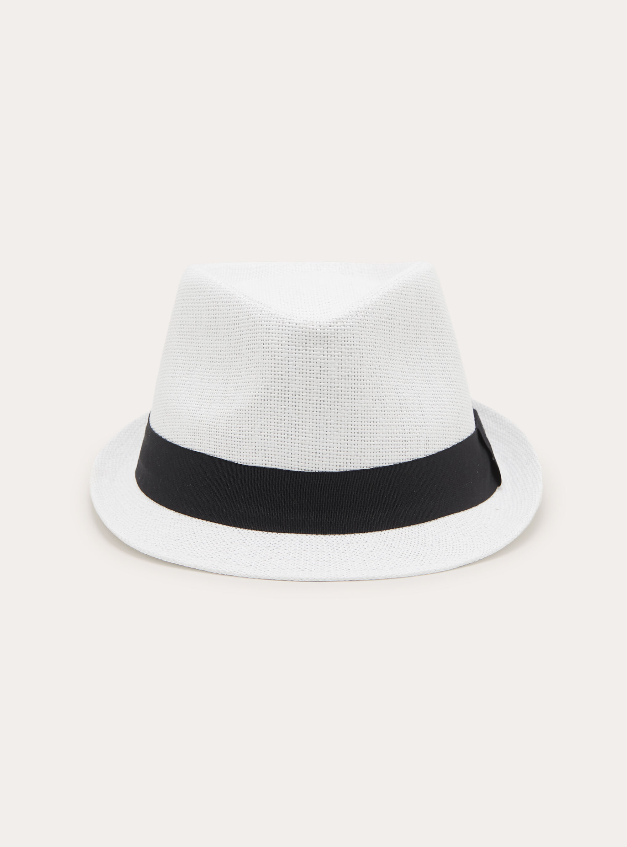Raffia Panama Hat with Contrast Band