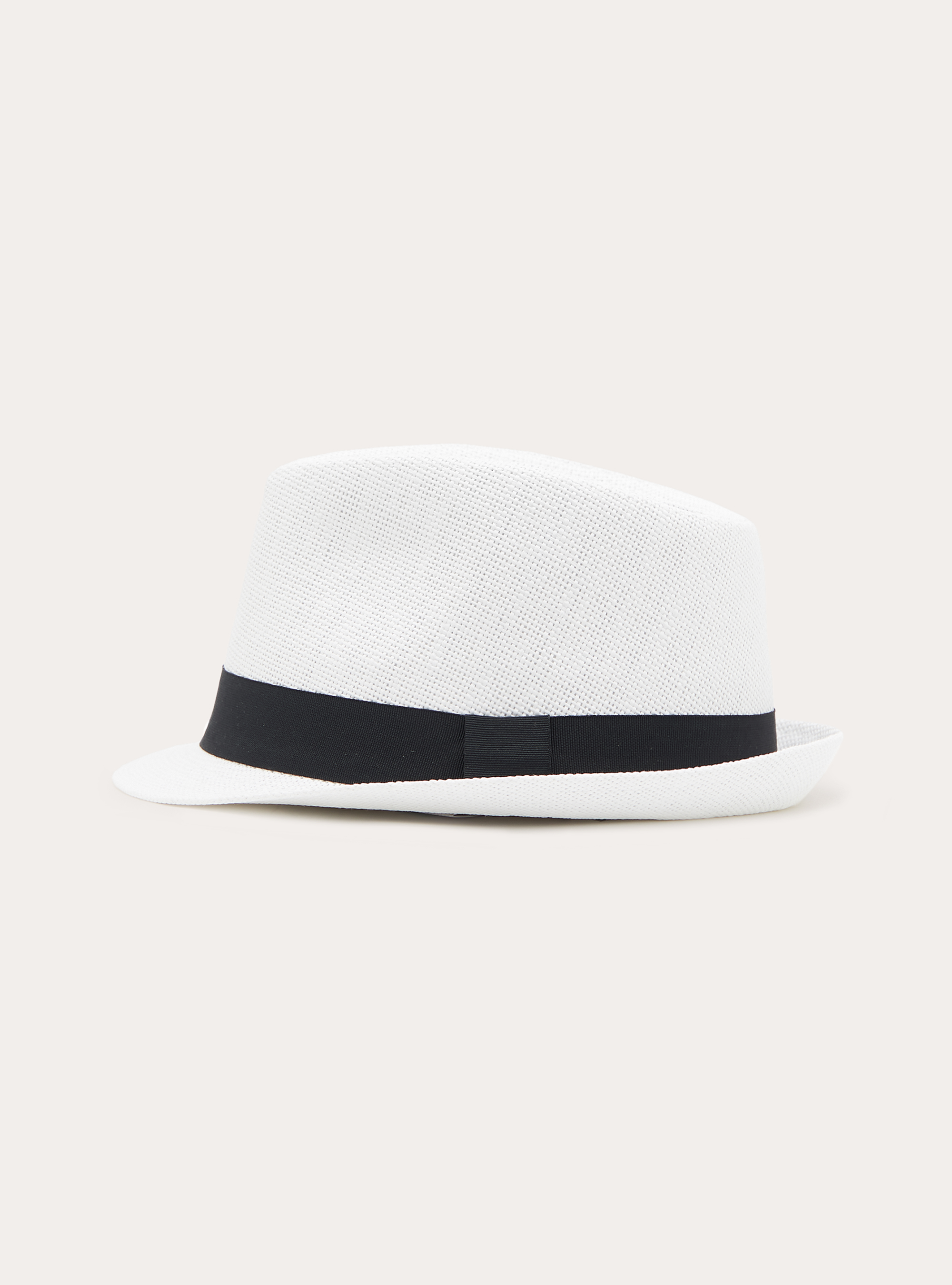 Raffia Panama Hat with Contrast Band, WH2 WHITE