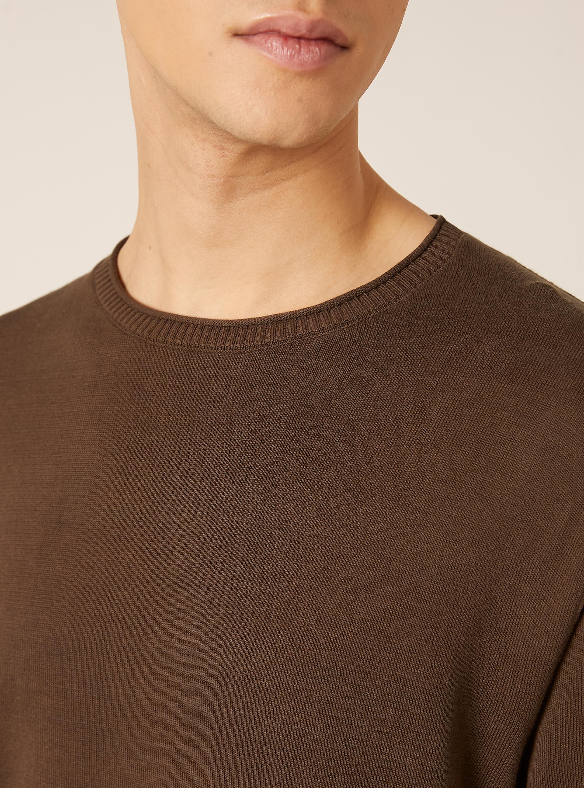 Cotton crew neck pullover, BR2 BROWN MEDIUM