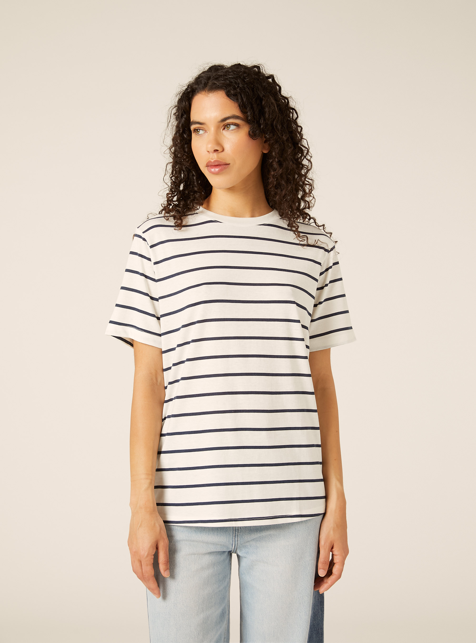 Regular Fit Breton Striped T-Shirt, MULTICOLOR