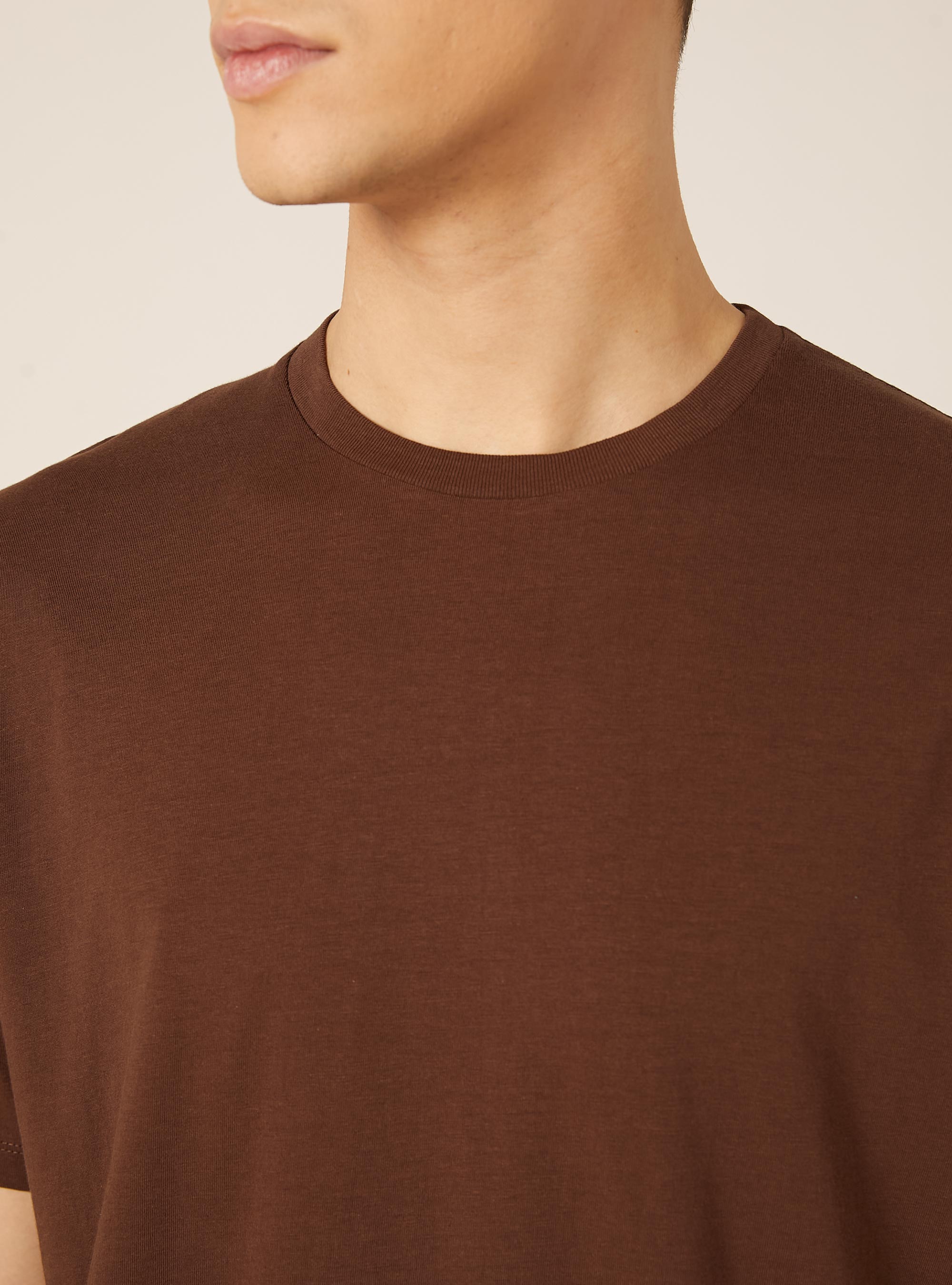 Camiseta b&aacute;sica de algod&oacute;n, BR1 BROWN DARK
