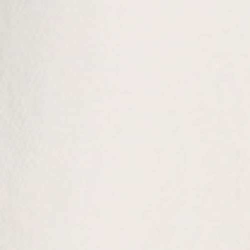 D099 WHITE
