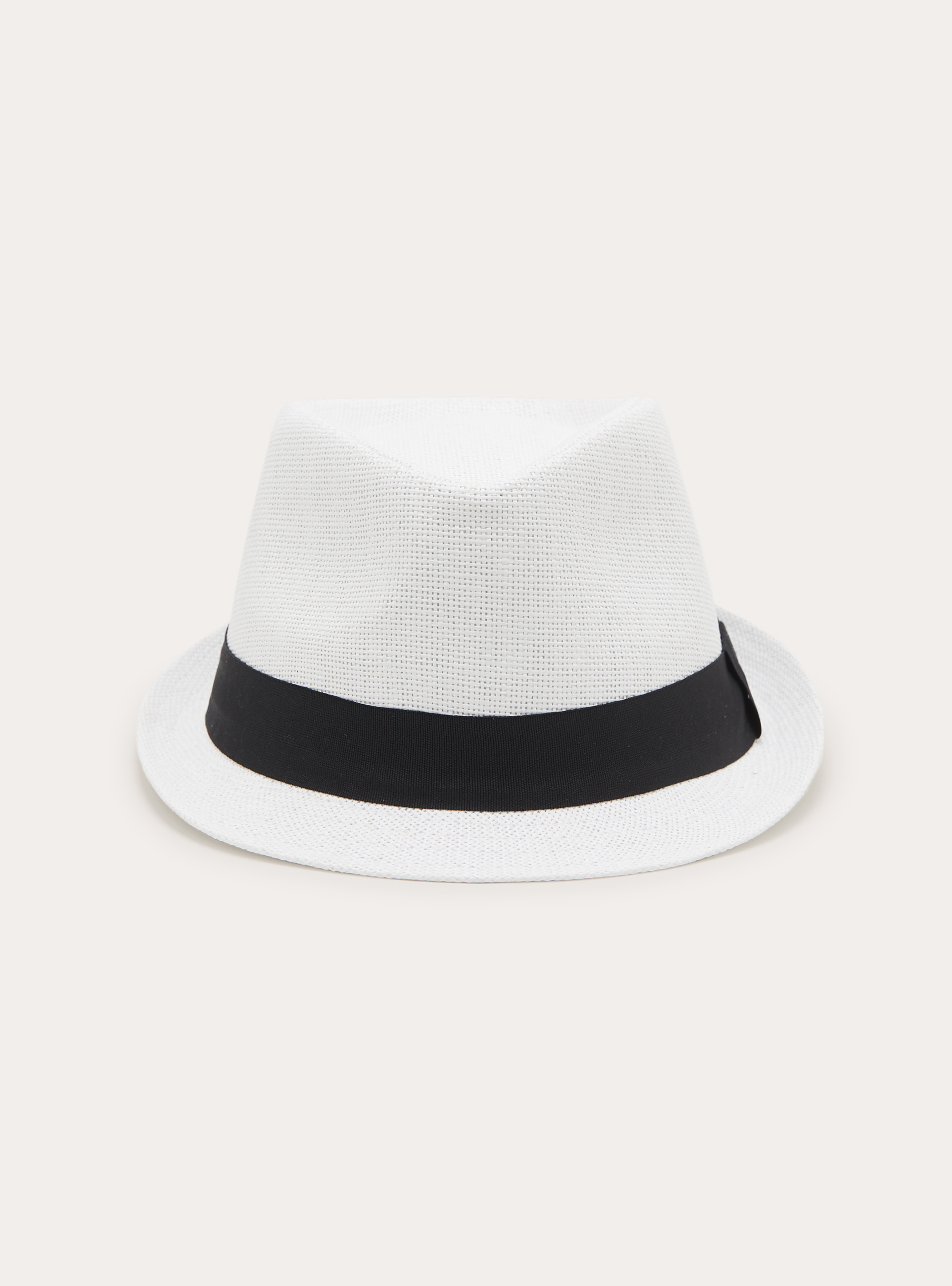 Raffia Panama Hat with Contrast Band, WH2 WHITE