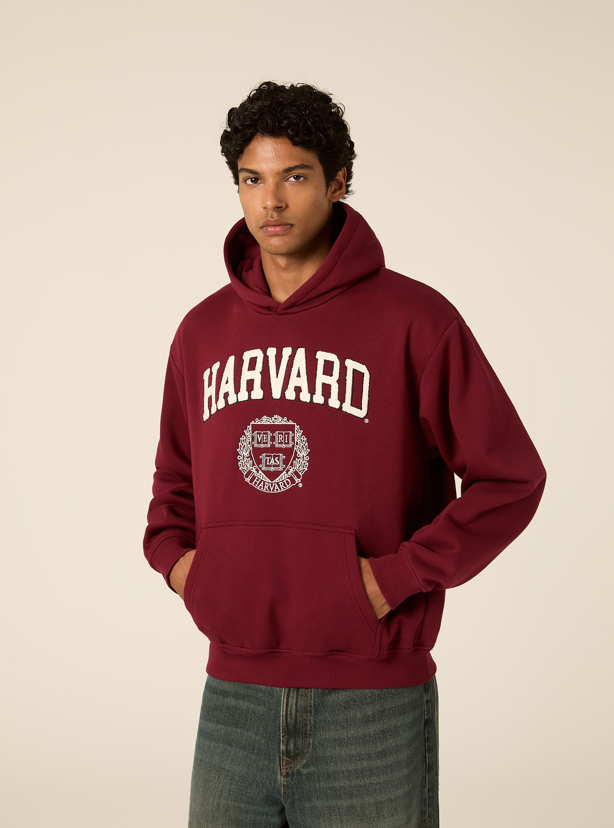 Felpa con cappuccio boxy licenza harvard, BO1 BORDEAUX DARK