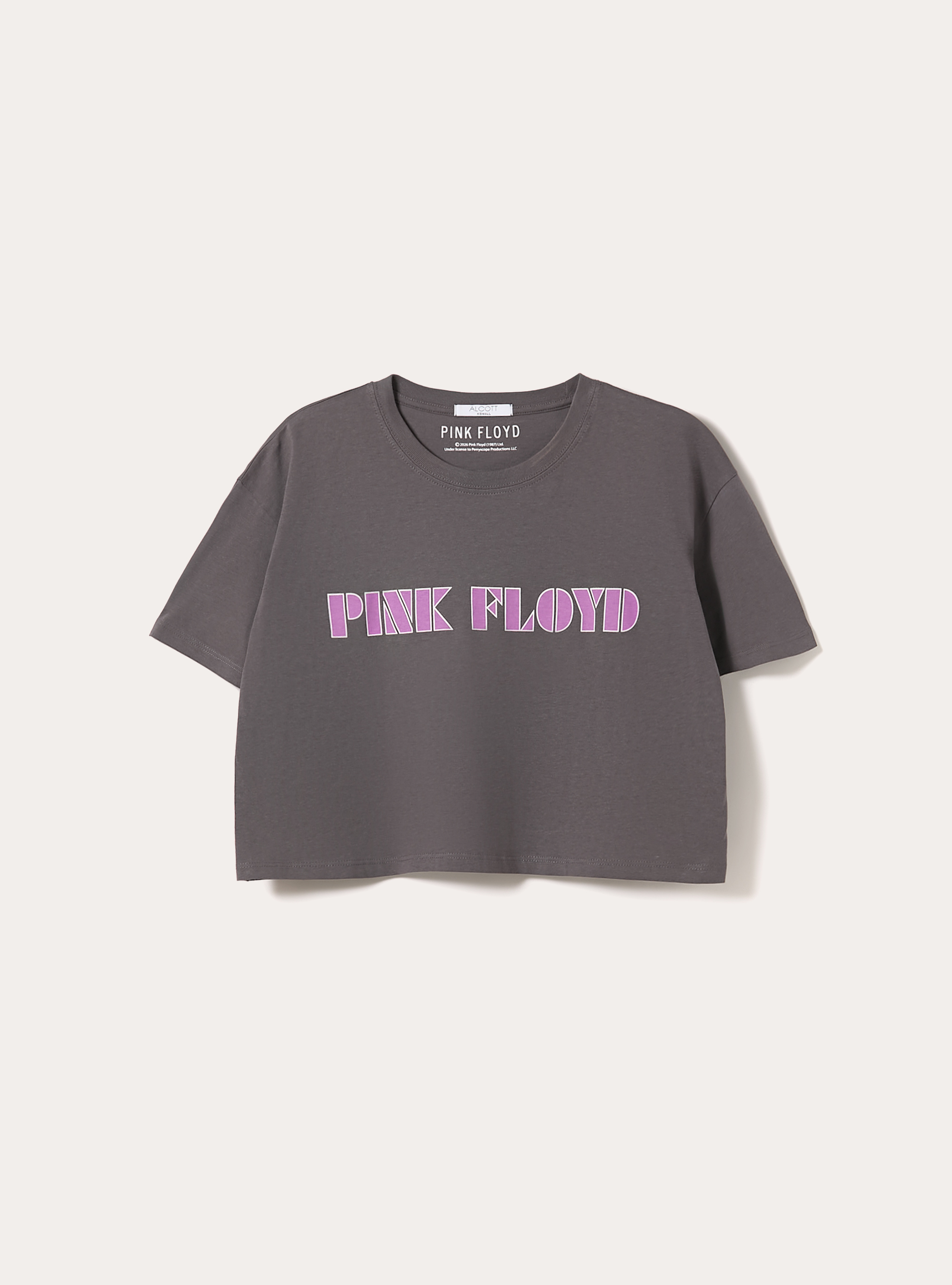 Camiseta boxy fit Pink Floyd / Alcott, GY1 GREY DARK