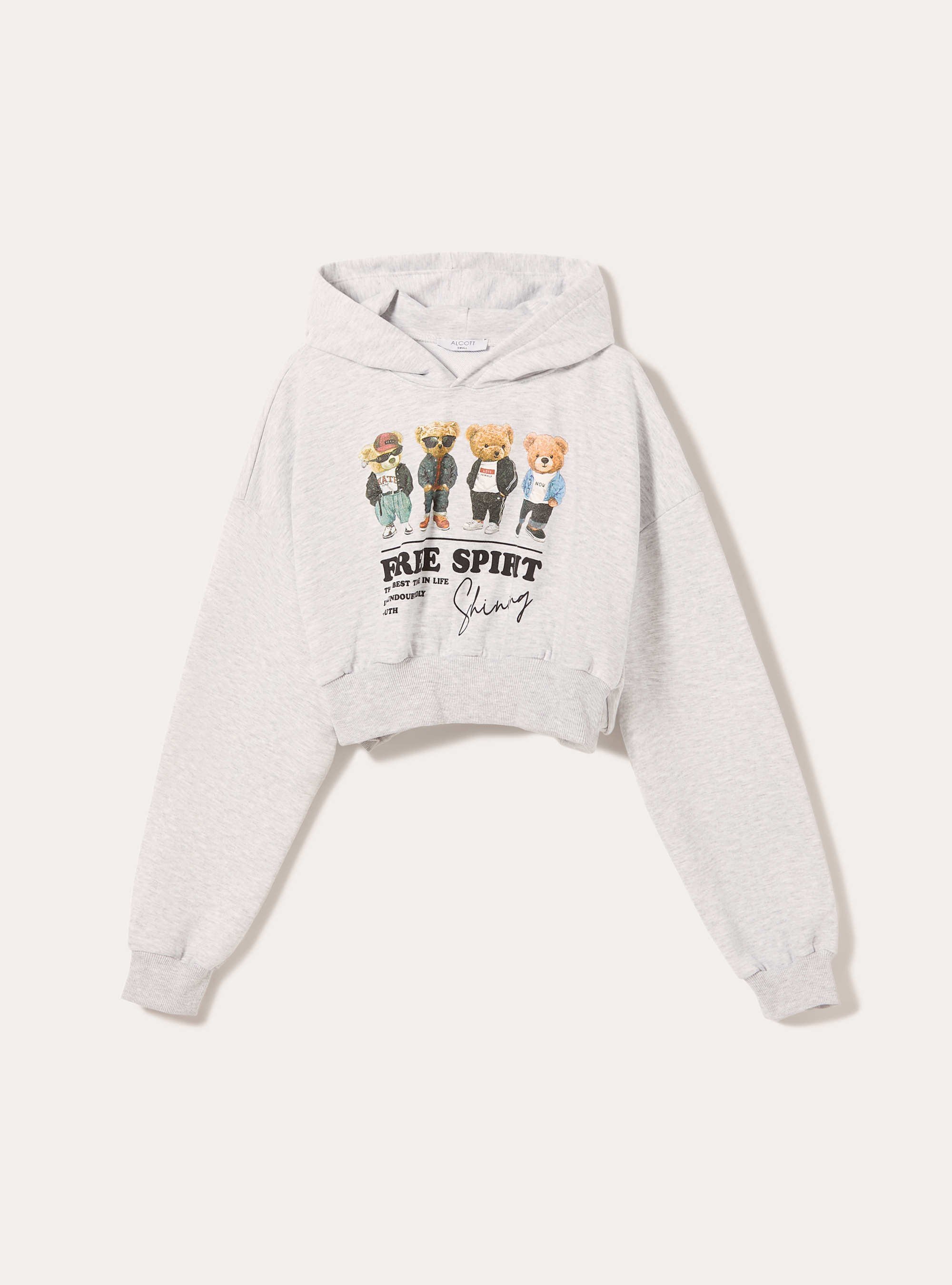 Sweatshirt coupe courte avec imprim&eacute; Teddy, MGY3 GREY MEL LIGHT