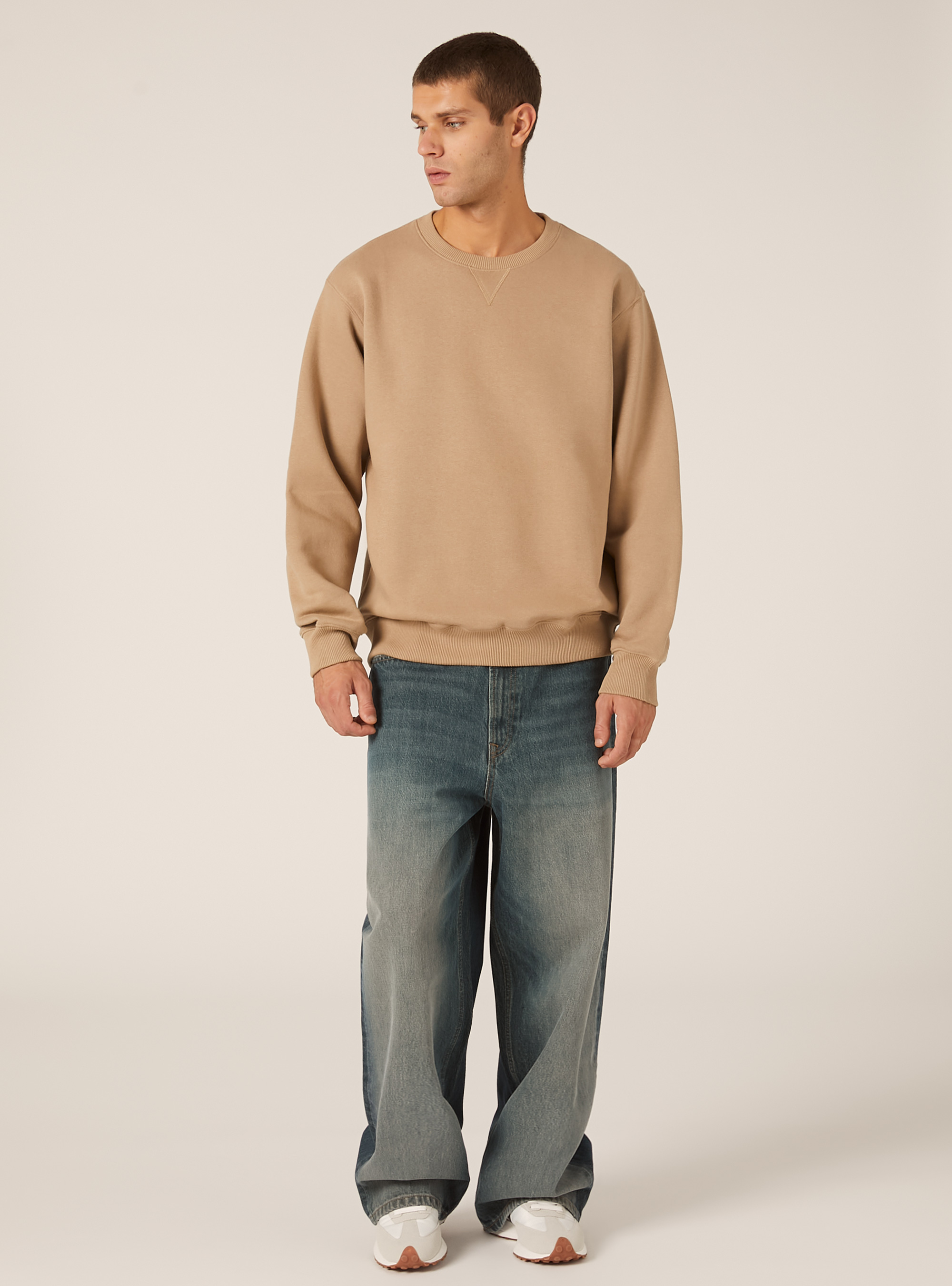 Sweat-shirt &agrave; col rond uni, BG1 BEIGE DARK