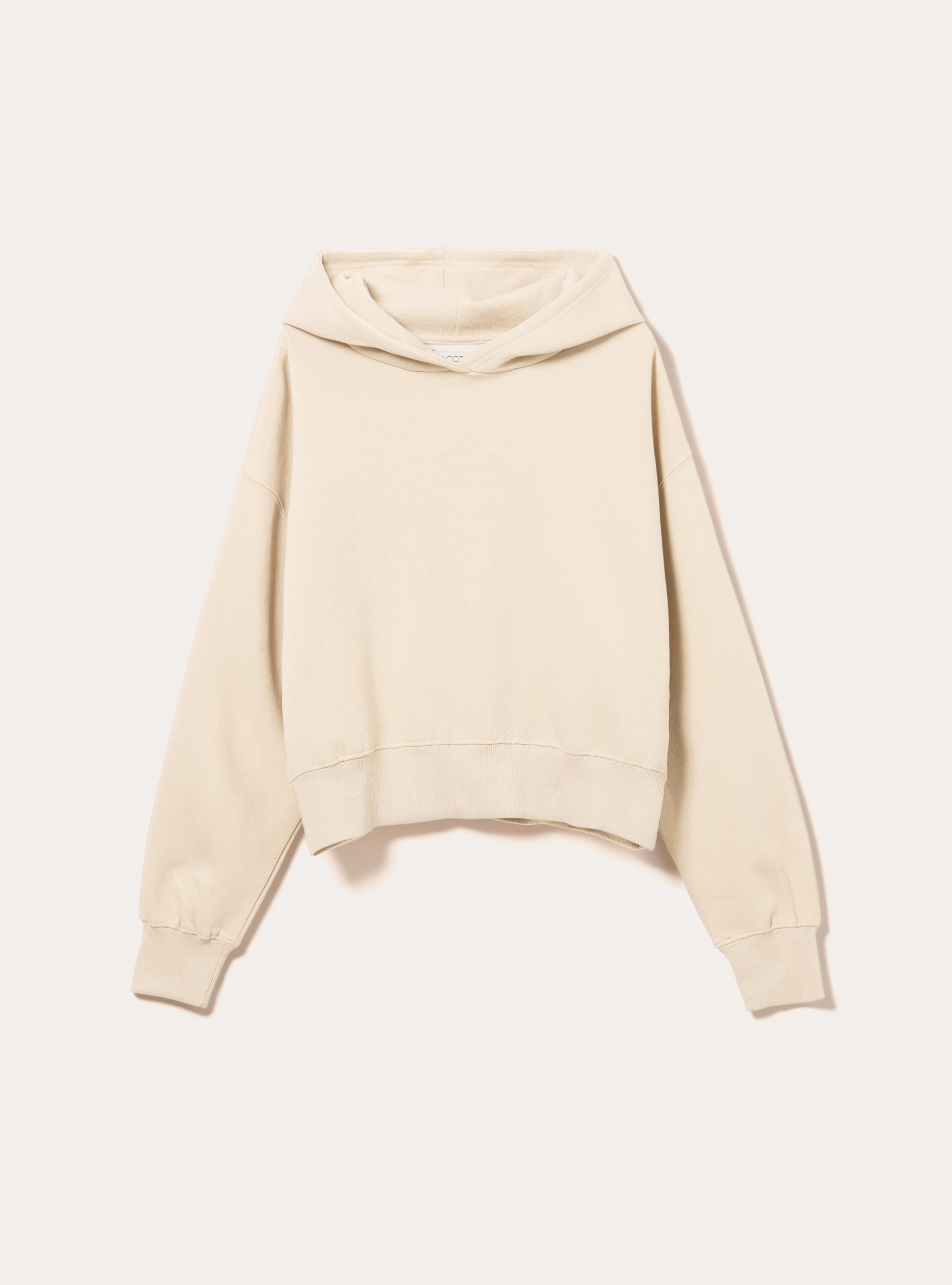 Sweat &agrave; capuche coupe boxy, BG2 BEIGE MEDIUM