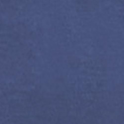 BL3 BLUE LIGHT